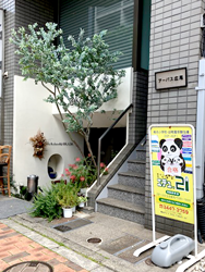 入口